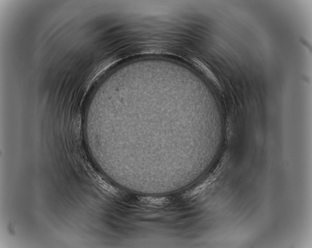 X0000098000831200804141204