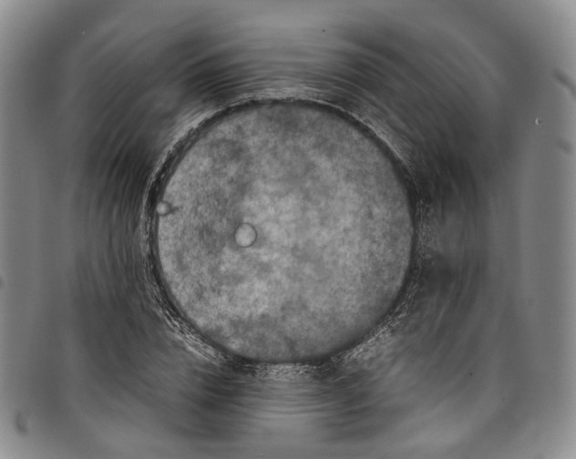 X0000098000832200804141204