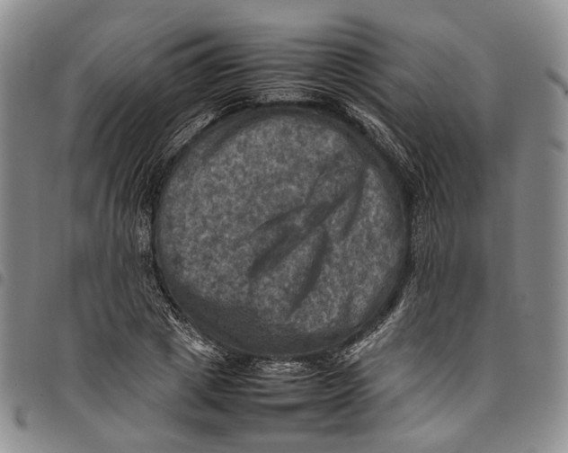 X0000098000833200804141204