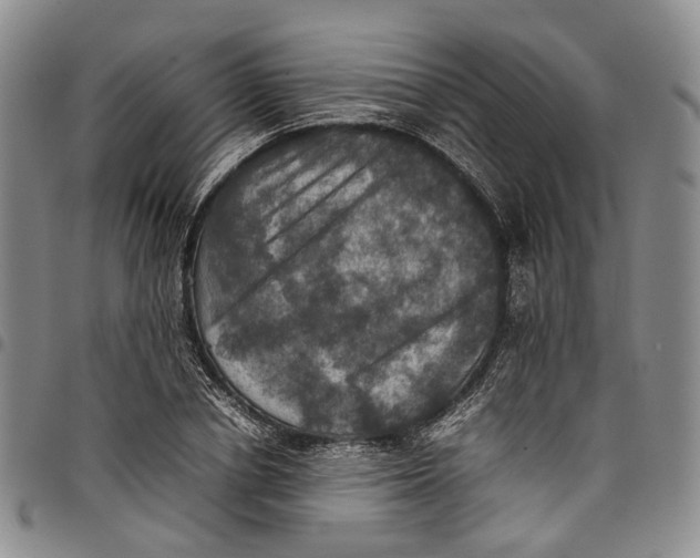 X0000098000834200804141205
