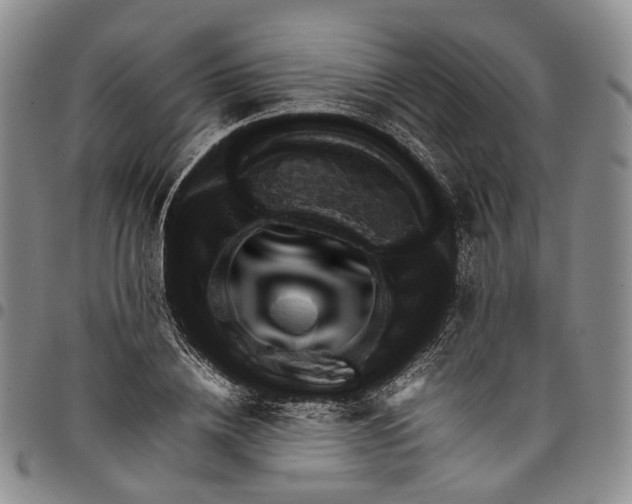 X0000098000836200804141205