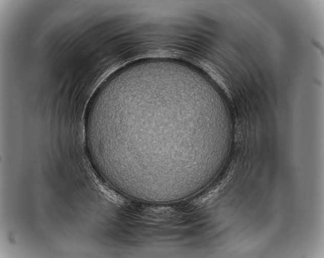 X0000098000837200804141205