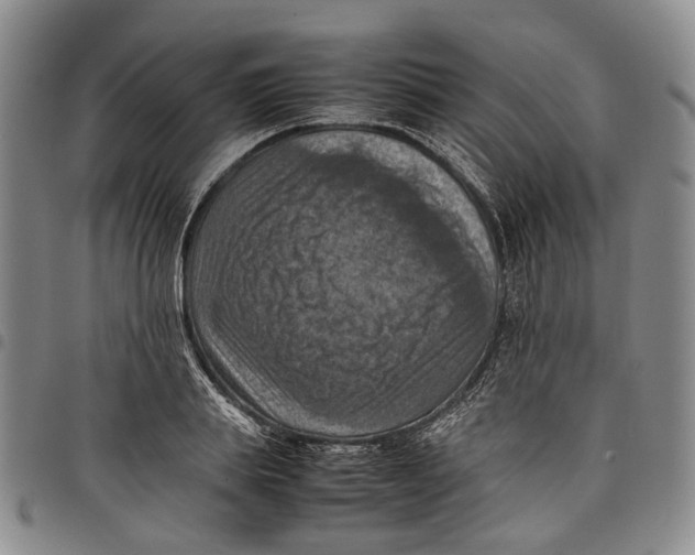 X0000098000839200804141205
