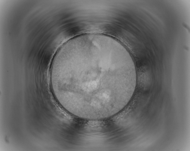 X0000098000840200804141205
