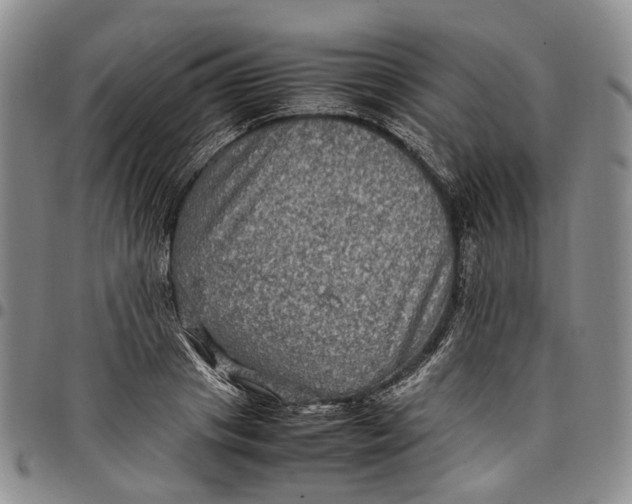X0000098000841200804141205