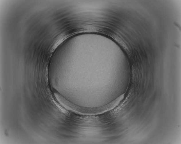 X0000098000842200804141205
