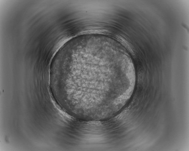 X0000098000844200804141205
