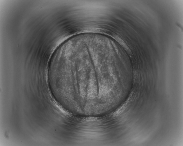 X0000098000846200804141205