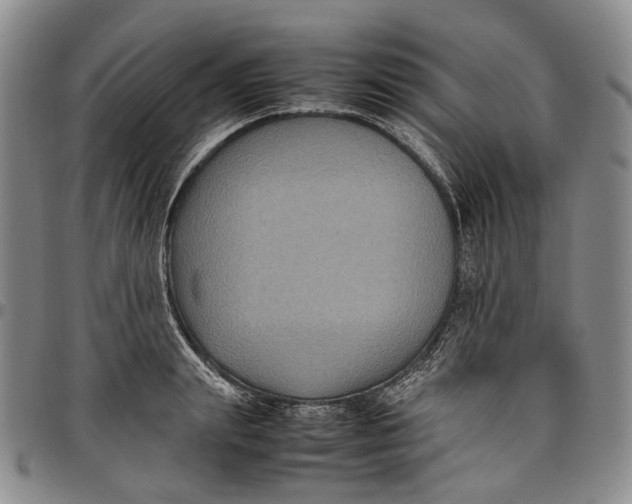 X0000098000847200804141205