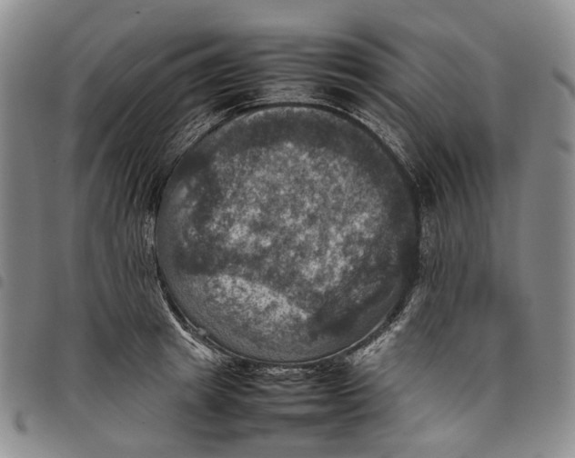 X0000098000849200804141205