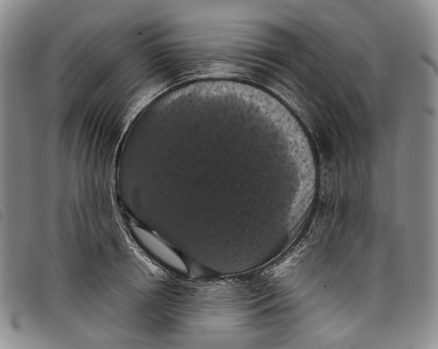 X0000098000850200804141205