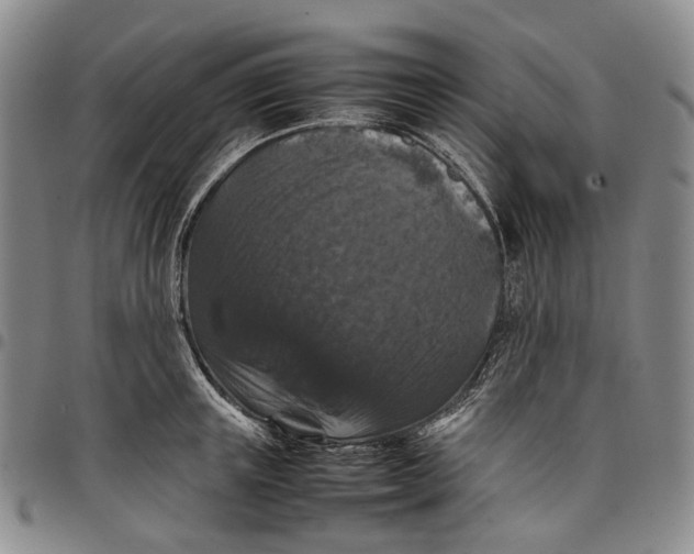 X0000098000851200804141205
