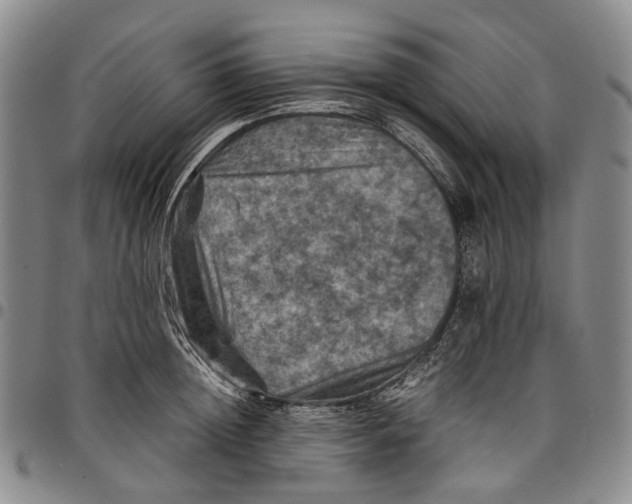 X0000098000852200804141205