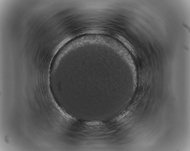 X0000098000853200804141205