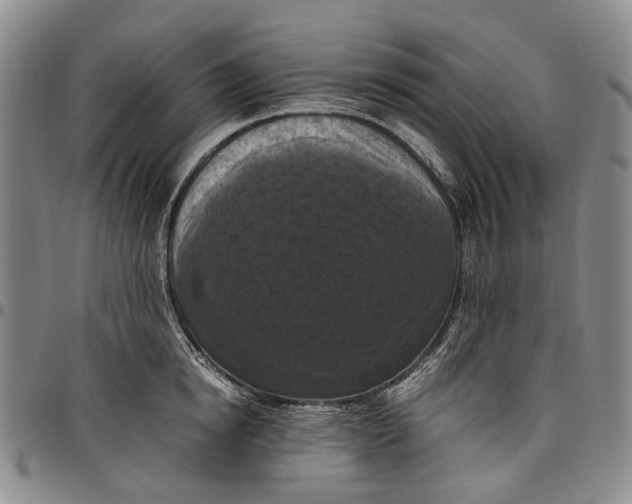 X0000098000854200804141205