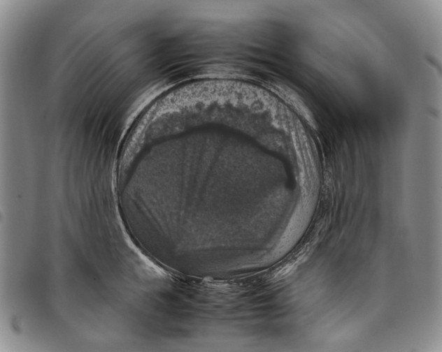 X0000098000855200804141205