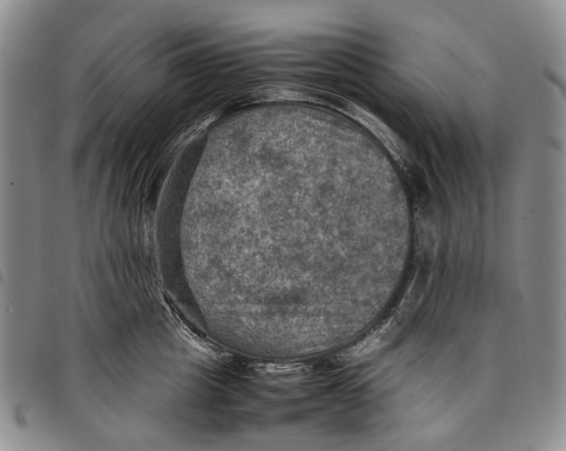 X0000098000857200804141205