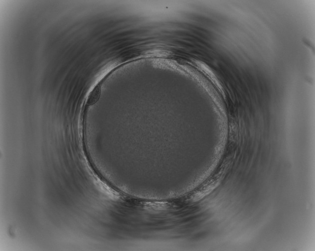 X0000098000859200804141205