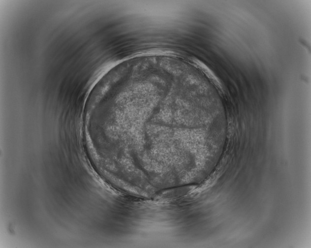 X0000098000860200804141205
