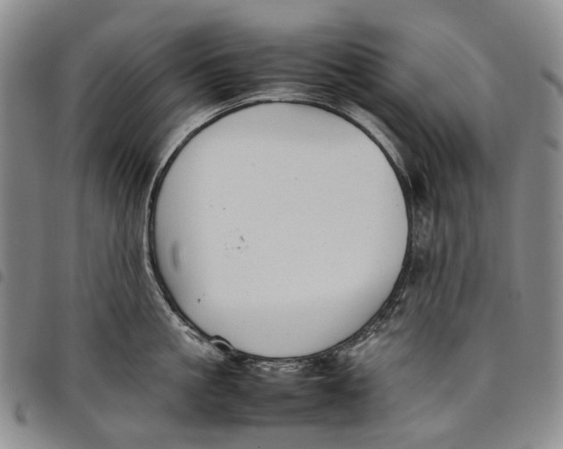 X0000098000861200804141205