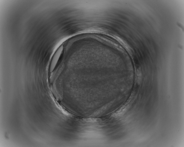 X0000098000862200804141205