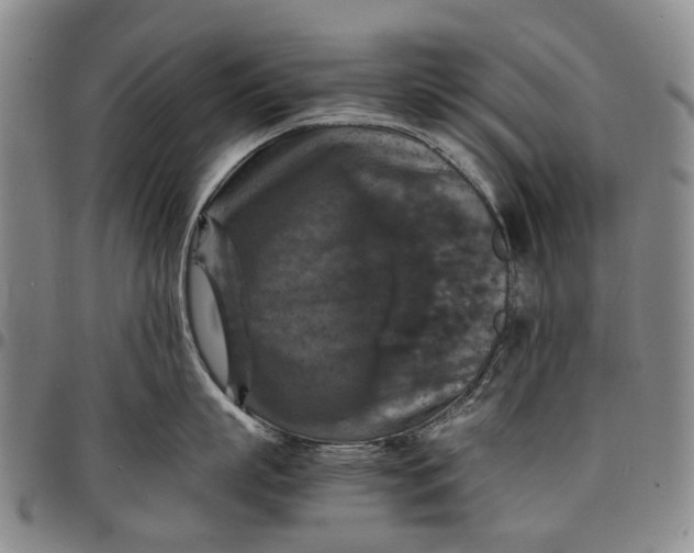 X0000098000863200804141205