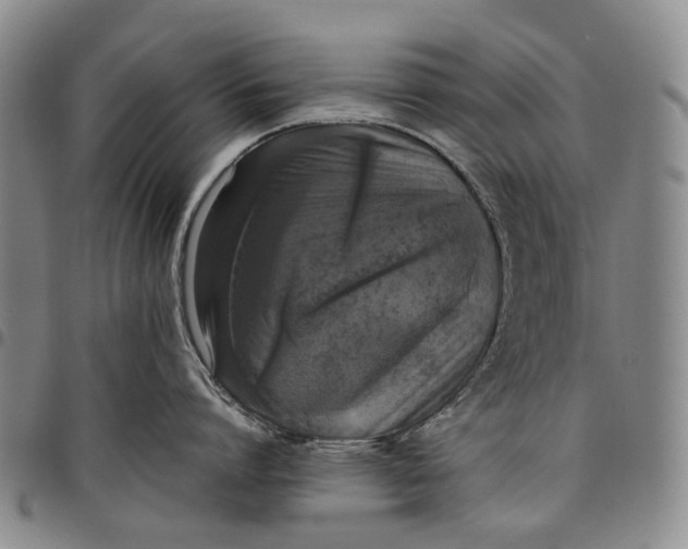 X0000098000864200804141205