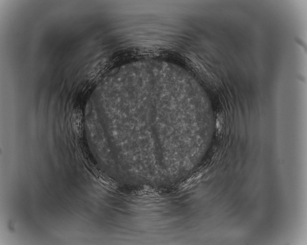 X0000098000867200804141204