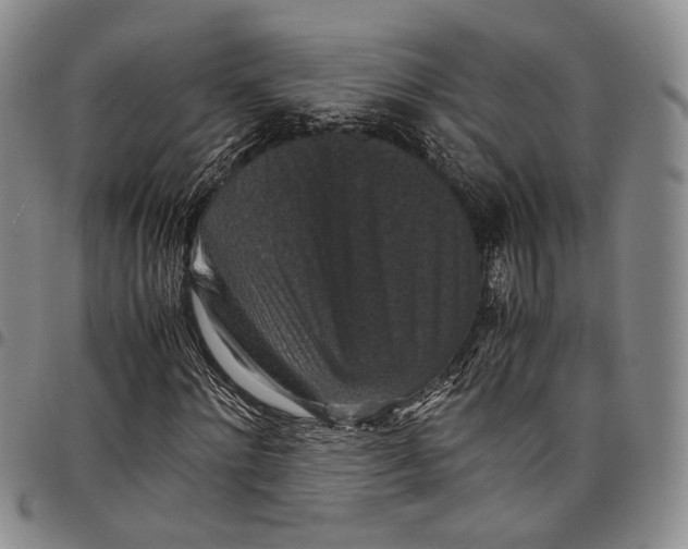X0000098000868200804141204