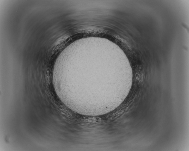X0000098000869200804141204