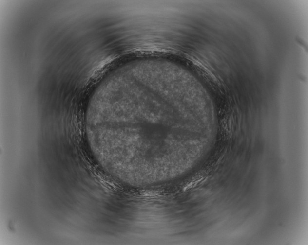 X0000098000870200804141204
