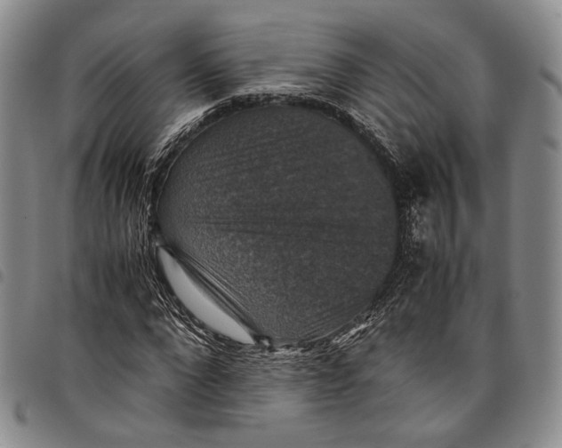 X0000098000872200804141204