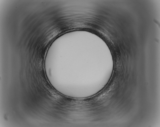 X0000098000873200804141204