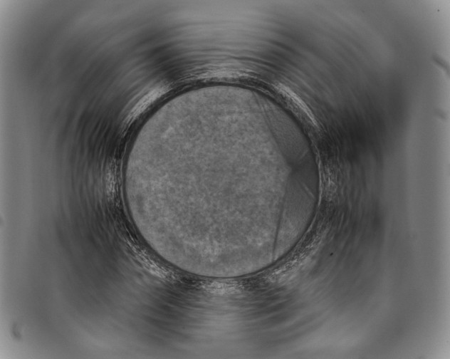 X0000098000874200804141204