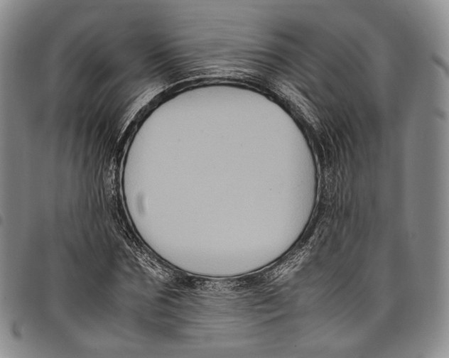X0000098000875200804141204