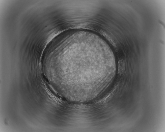 X0000098000876200804141204