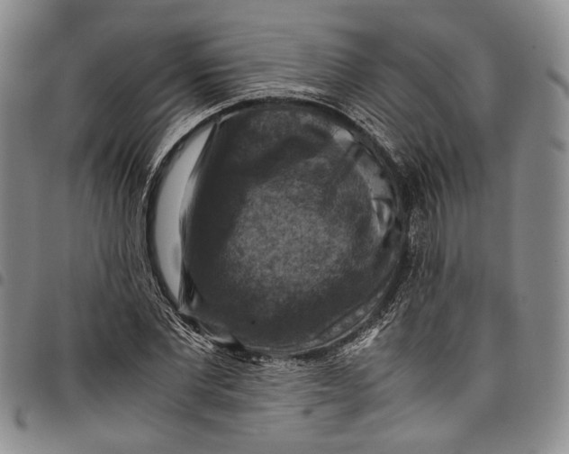 X0000098000877200804141204