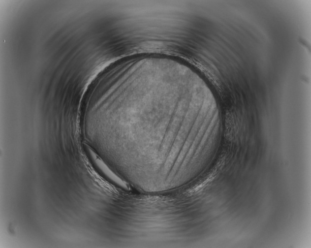 X0000098000880200804141204
