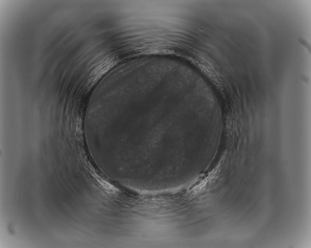 X0000098000881200804141204