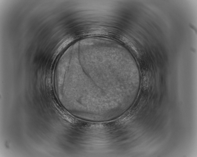 X0000098000882200804141204