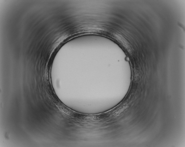 X0000098000883200804141204