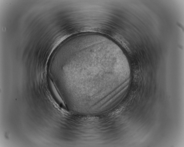 X0000098000884200804141204