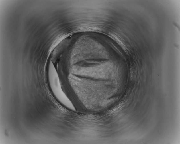 X0000098000885200804141204