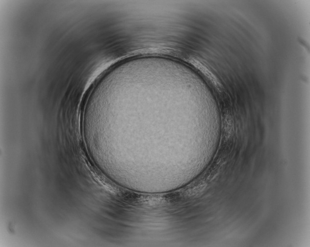 X0000098000886200804141204