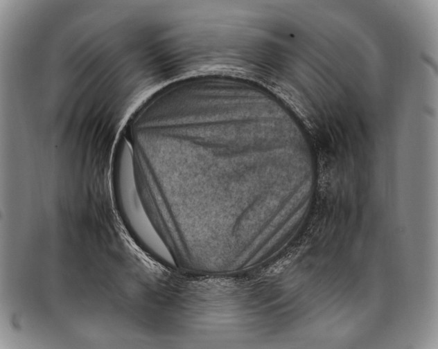X0000098000888200804141204