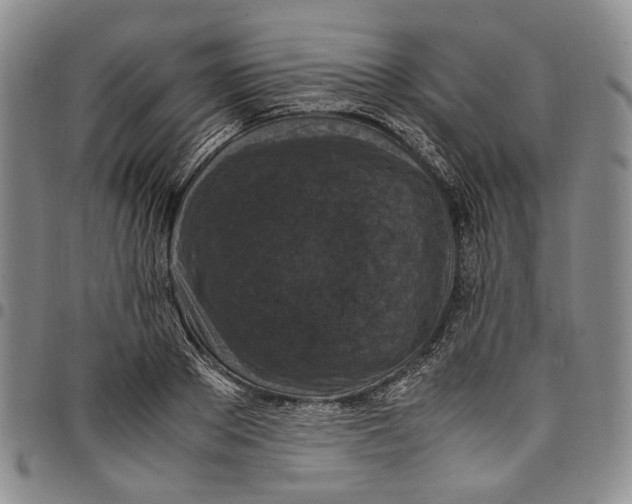 X0000098000889200804141204