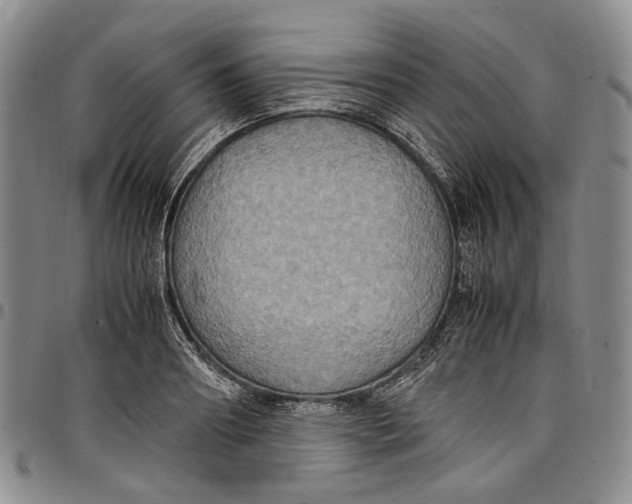 X0000098000890200804141204