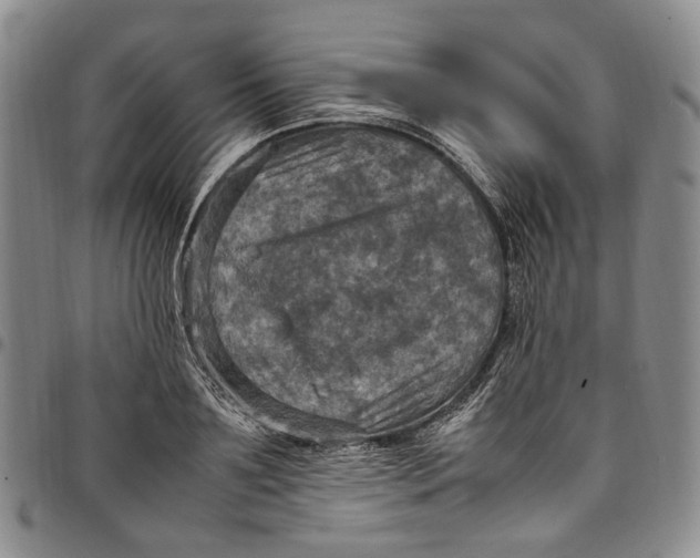 X0000098000891200804141204