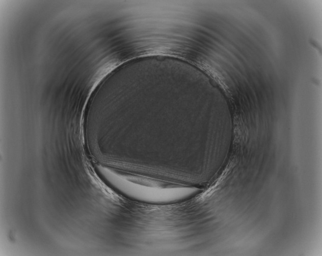 X0000098000892200804141204