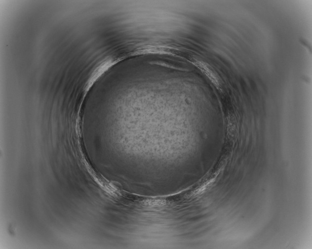 X0000098000893200804141204